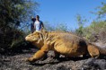 /album/fotogaleria1/galapagos-2-jpg/
